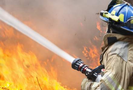 Portugalia: cel putin 25 de morti in incendii de padure