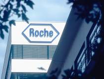 Grupul Roche a investit anul...