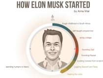 Extraordinarul Elon Musk: Din...
