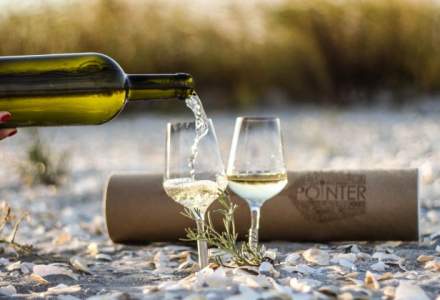 Afacere nascuta la picnic: o tanara romanca a reinventat paharul de vin pe care il vinde in SUA, Namibia, Bahrain sau Australia