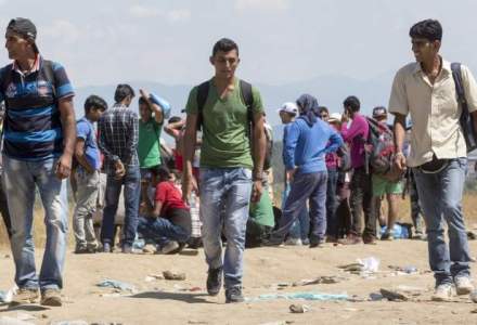 Imigranti sirieni si calauze bulgare, depistati de politistii de frontiera constanteni