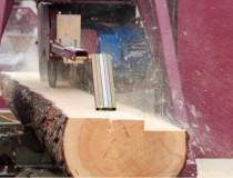 Romania a exportat lemn si...