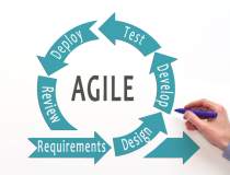 Management in Scaled Agile...