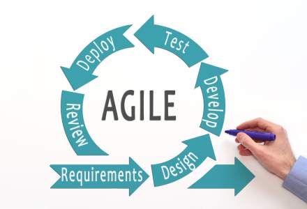 Management in Scaled Agile Software Development