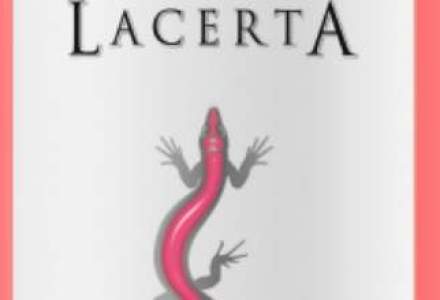 Cum vrea producatorul de vin LacertA sa atinga milionul de euro in acest an