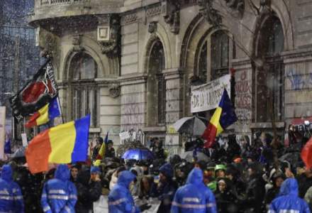Grupul Verzilor, ingrijorat de situatia din Romania in privinta legilor justitiei