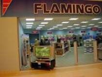 Flamingo International...