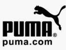 Puma si-a revizuit in scadere...