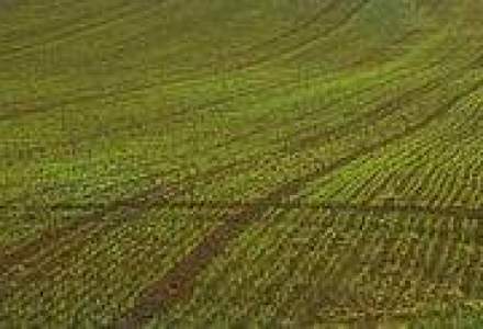 Italienii sunt interesati de afaceri cu legume, orez si biodisel, in Romania