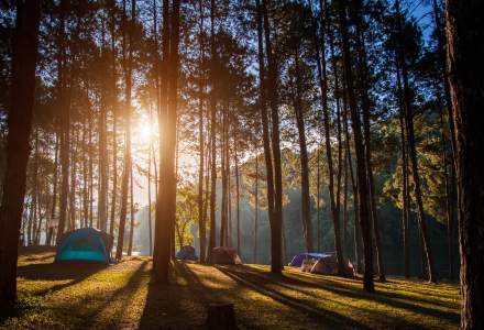 Idee de afacere - Cum sa iti deschizi un camping