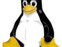 Linux castiga teren in...