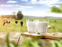 Piata de lactate din Romania:...
