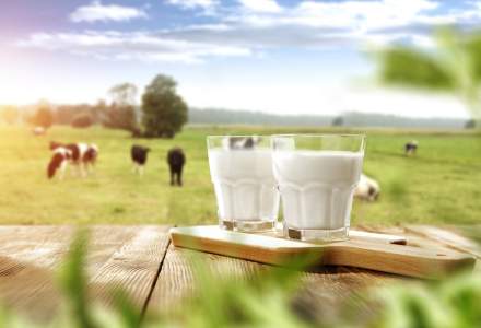 Piata de lactate din Romania: cum au evoluat afacerile primilor 10 mari producatori de lactate