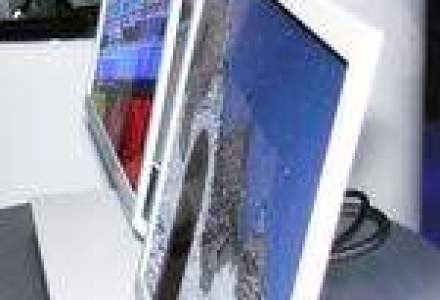 Piata ecranelor OLED va castiga teren in 2008