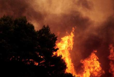 Video. Incendiile din Grecia in imagini: cel putin 79 de persoane au decedat