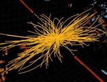 Anunt istoric: Savantii CERN...