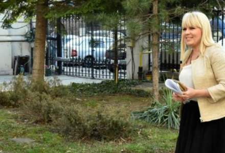 Guvernul Romaniei are la dispozitie doua luni pentru procedurile de extradare a Elenei Udrea si Alinei Bica