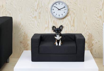 IKEA lanseaza o gama de mobilier pentru animale de companie, disponibila si in Romania