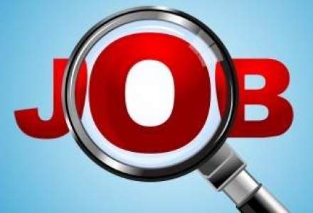 Peste 8.500 de locuri de munca vacante pana pe 15 august
