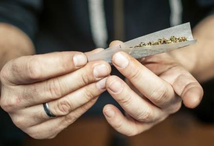Trei barbati, arestati pentru trafic de droguri; au fost indisponibilizate peste 50 kg de cannabis