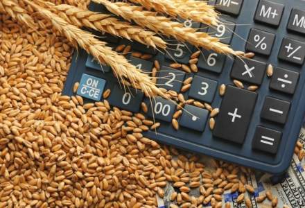 Guvernul infiinteaza o noua firma de stat, prin care Ministerul Agriculturii va vinde cereale, seminte, furaje si tutun