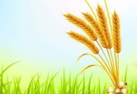 Guvernul vrea o noua derogare pentru taxarea inversa la cereale