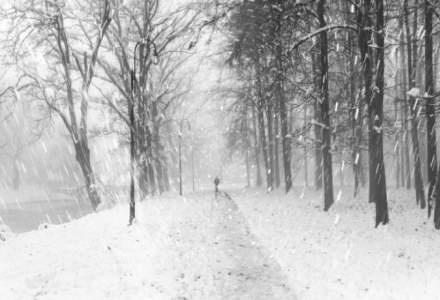 Ajunul Craciunului vine cu ninsori abundente. Cum va fi vremea marti, 25 decembrie
