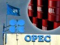 Pentru OPEC speculatorii...