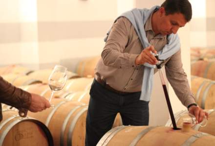 Turismul viticol din Romania atrage investitori straini