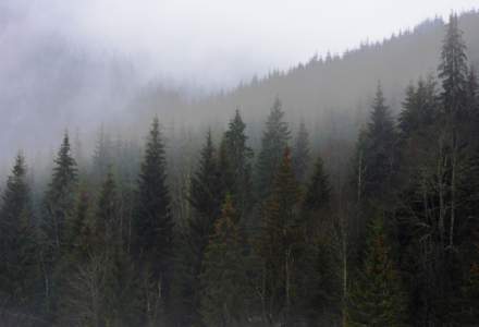 Romsilva, despre planul de management al Parcului National Semenic - Cheile Carasului