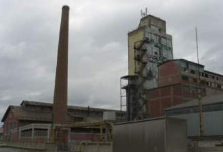 Inca un faliment in industrie: cel mai mare producator de soda calcinata din Romania