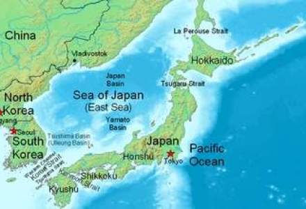 Alerta de tsunami dupa CUTREMURUL VIOLENT din Japonia