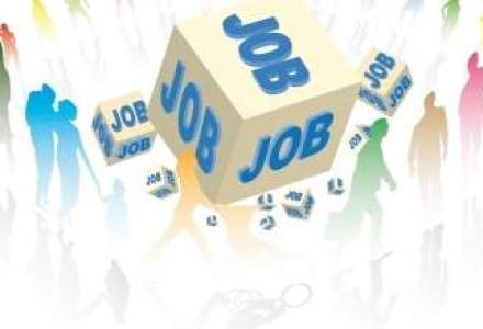 ANOFM: Peste 5.300 de locuri de munca vacante pana pe 2 ianuarie