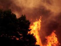 Grecia: Peste 50 de incendii...