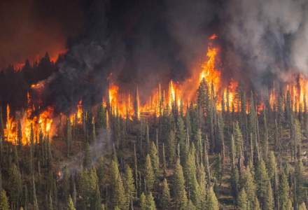 Focuri masive, fara precedent: Cum afecteaza intreaga planeta