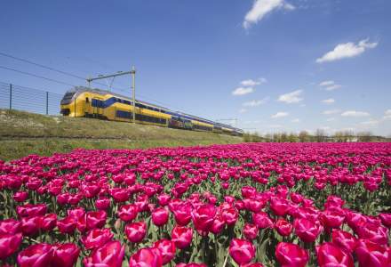 Mersul trenurilor din Olanda trece de la minute la secunde