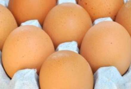 Un nou scandal de amploare? Au fost descoperite oua etichetate fals drept bio