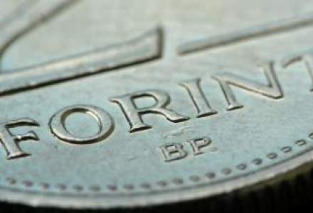 Forintul a scazut la minimul ultimelor 10 luni fata de euro