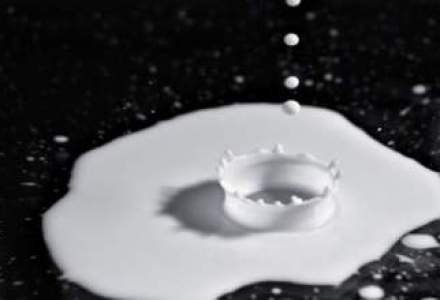 Aflatoxina taie milioane de euro din afacerile procesatorilor de lapte