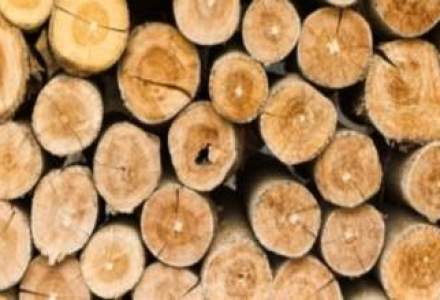 O companie austriaca specializata in productia si prelucrarea lemnului investeste 150 milioane de euro intr-o fabrica in Covasna