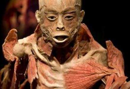 Expozitia The Human Body de la Antipa: Ministerul vrea conditii pentru elevi