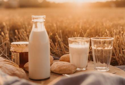 Veniturile sectorului de fabricare a produselor lactate si a branzeturilor au scazut cu 18% in 2018, fata de anul precedent