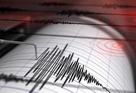 PAID: In ultimii 100 de ani, in Romania s-au inregistrat 13 cutremure semnificative, care au dus la producerea a 2.630 decese