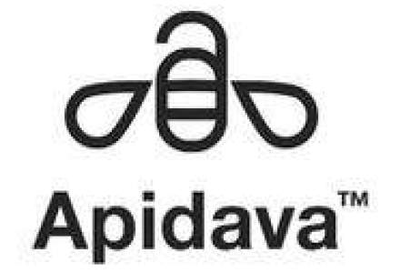 Brandient a creat brandul Apidava