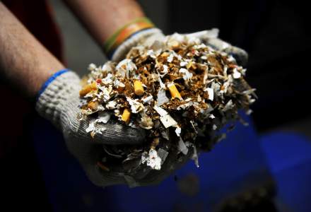 Politia Romana: 48 tone de tutun vrac si 55 milioane de tigarete de contrabanda, confiscate anul trecut
