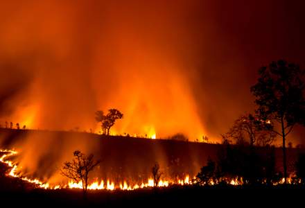 Dezastru in Australia: Incendiile devasteaza sud-estul tarii, mai multe orase vor fi evacuate