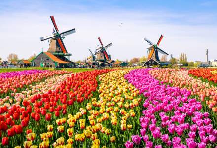 Olanda si-a schimbat numele de la 1 ianuarie 2020