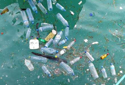 Comisia Europeana analizeaza interzicerea ambalajelor din plastic