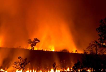 Fumul de la incendiile din Australia va ajunge pe tot globul, iar atmosfera ar putea fi schimbata