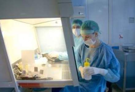 Piata celulelor stem a atins 10 mil. euro. 3 jucatori controleaza 75% din industrie